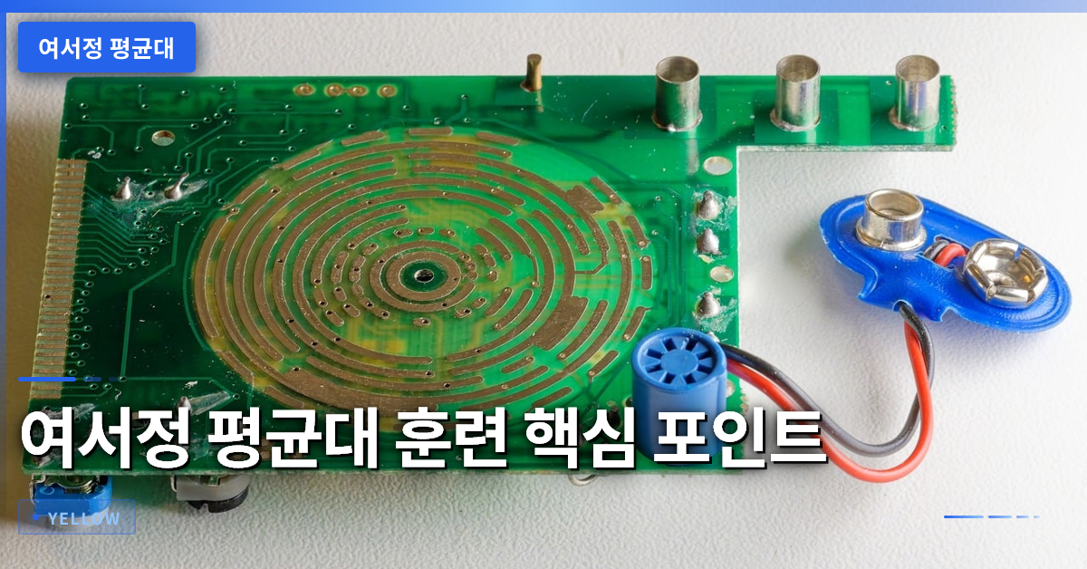 여서정 평균대 훈련 난관과 점수 향상 전략 완전 정리