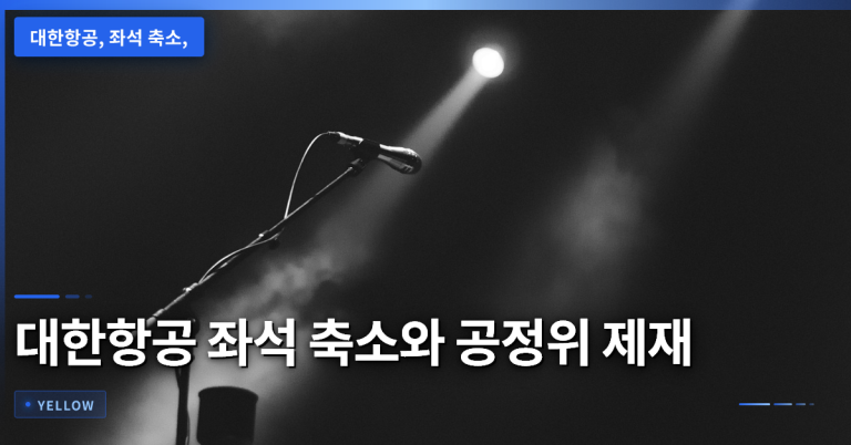 대한항공 좌석 축소 논란과 공정위 제재 절차에 대한 심층 분석