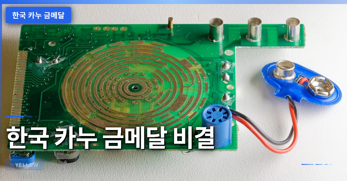 한국 카누 금메달 비결: 체계적 훈련·데이터 분석과 종목별 기술 차이 완전 해부