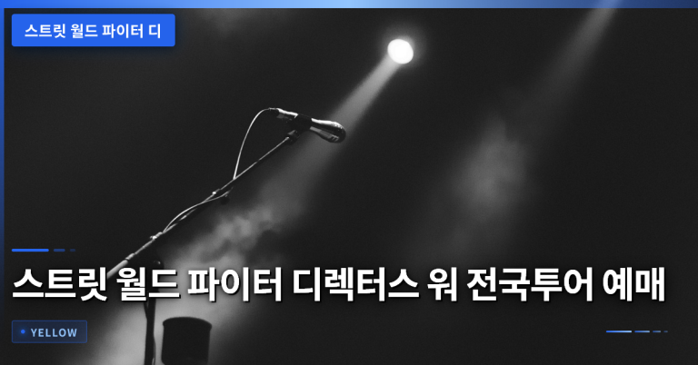 스트릿 월드 파이터 디렉터스 워 전국투어 예매·좌석·취소 규정 완전 가이드