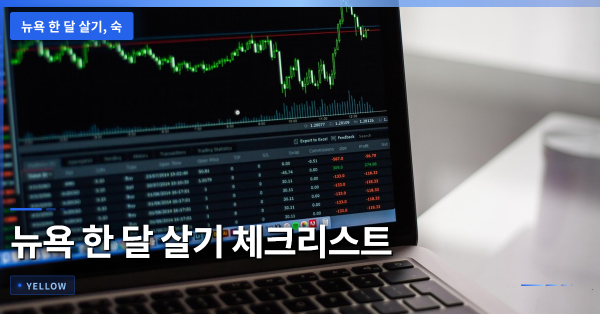 뉴욕 한 달 살기 준비 체크리스트 – 숙소·비용·교통·안전·예산 관리