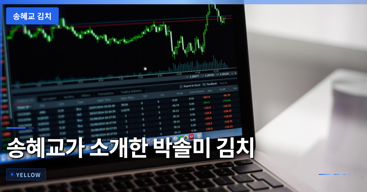 송혜교가 추천한 박솔미 김치, 품질과 선택 기준 완전 정리