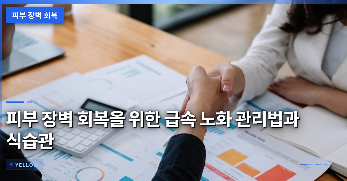 피부 장벽 회복을 위한 급속 노화 관리법과 식습관 개선 가이드