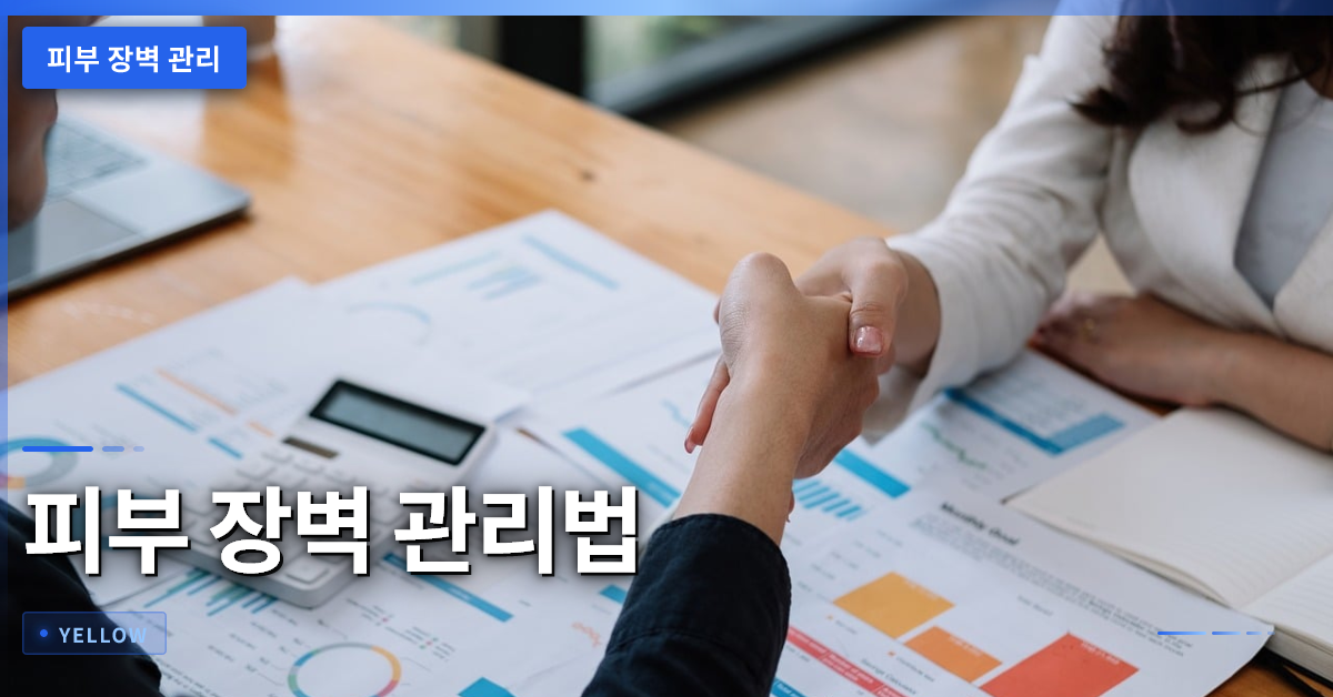 피부 장벽 관리법 – 김혜영 배우 방송 복귀와 피부 고민 해결