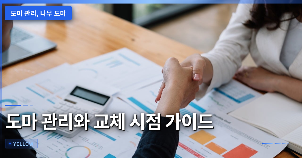 도마 관리와 위생을 위한 나무 소재 선택 및 교체 시점 완전 가이드